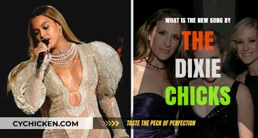 Latest Dixie Chicks Song: What's the Buzz?