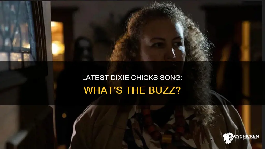 what is the new song by the dixie chicks