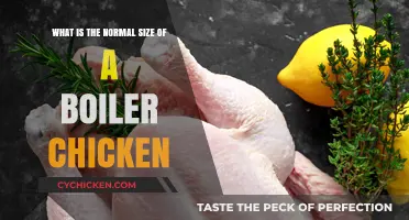 Standard Boiler Chicken Sizes: Understanding the Norm