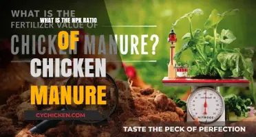 Understanding the NPK Ratio in Chicken Manure for Gardening