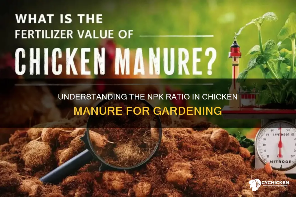 what is the npk ratio of chicken manure