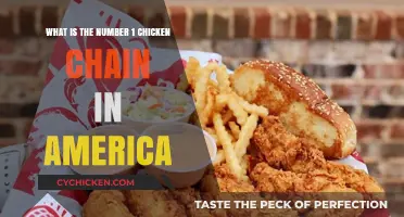 America's Favorite Chicken: Top Chain Revealed