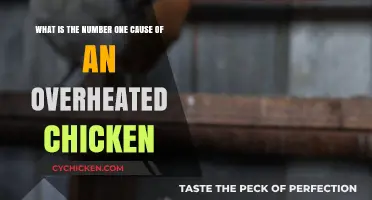 Summer Heat: Chicken Overheating Causes and Prevention