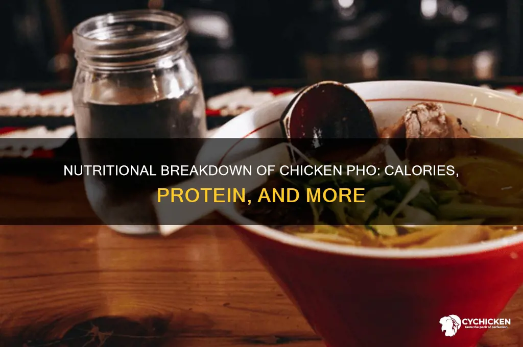 what is the nutritional anaylsis for chicken pho