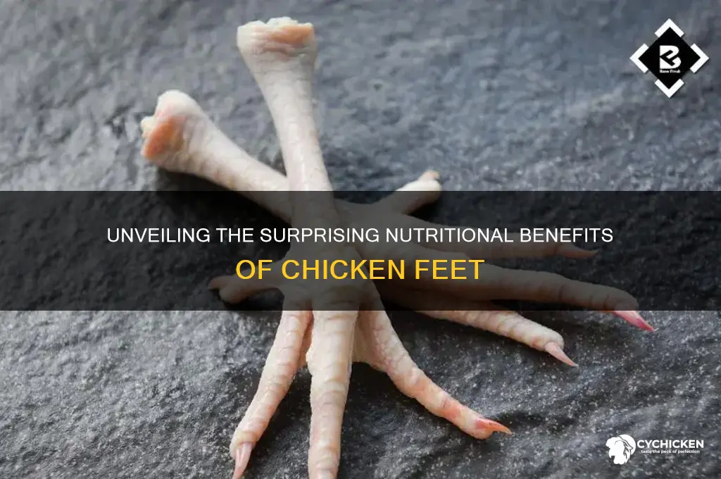 what is the nutritional value of chicken feet