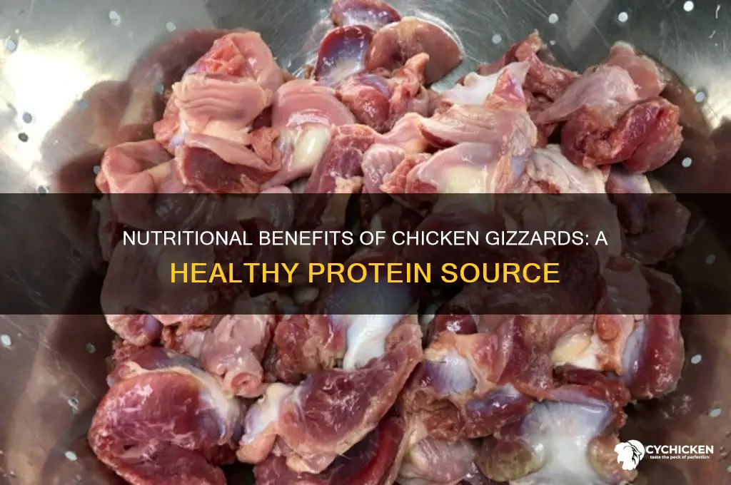 what is the nutritional value of chicken gizzards