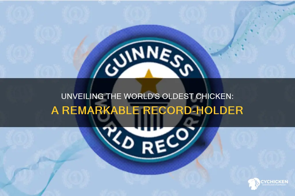 what is the oldest chicken in the world