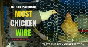 Chicken Wire: Understanding Standard Openings and Their Uses