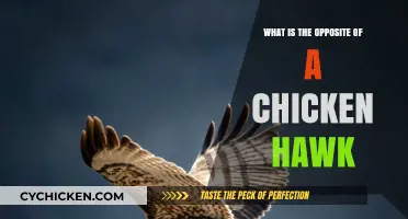Exploring the Opposite: What's the Antagonist to a Chicken Hawk?