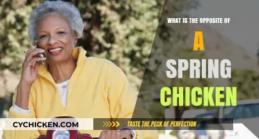 Aging Gracefully: Exploring the Opposite of a Spring Chicken