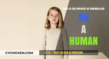 Building Strong Legs: The Opposite of Chicken Legs