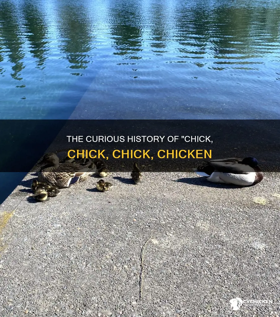 what is the origin of chick chick chick dinner