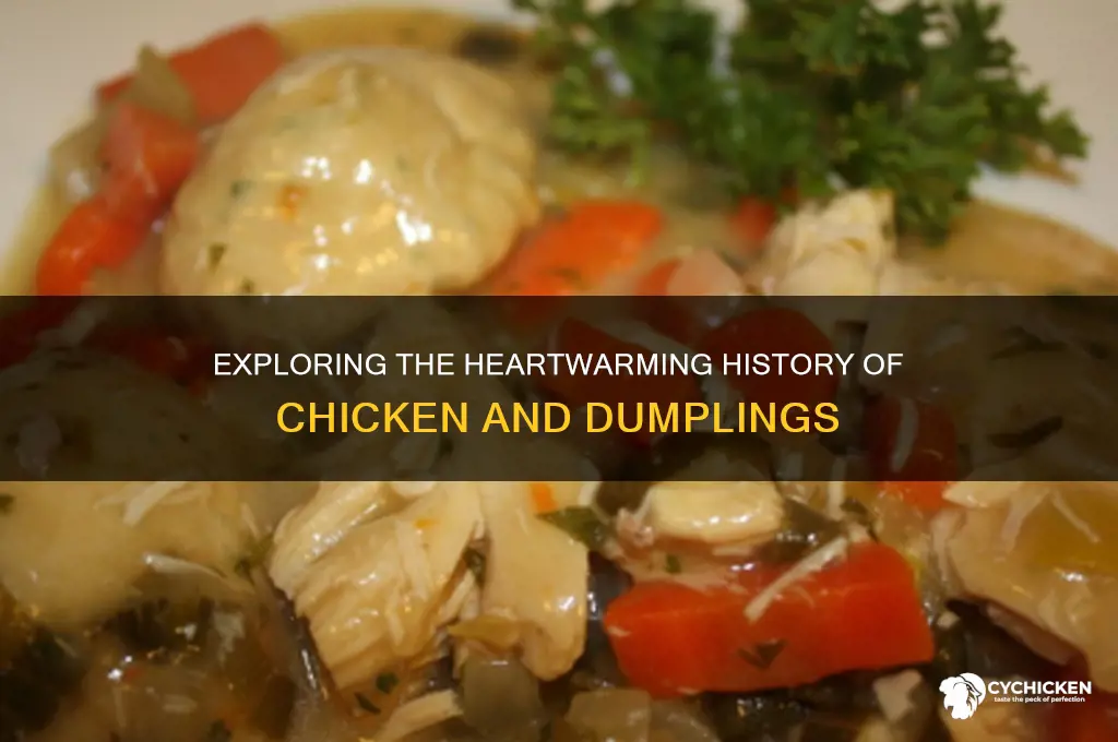 what is the origin of chicken and dumplings