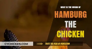 Unraveling the Mystery: The Surprising Origin of Hamburg the Chicken