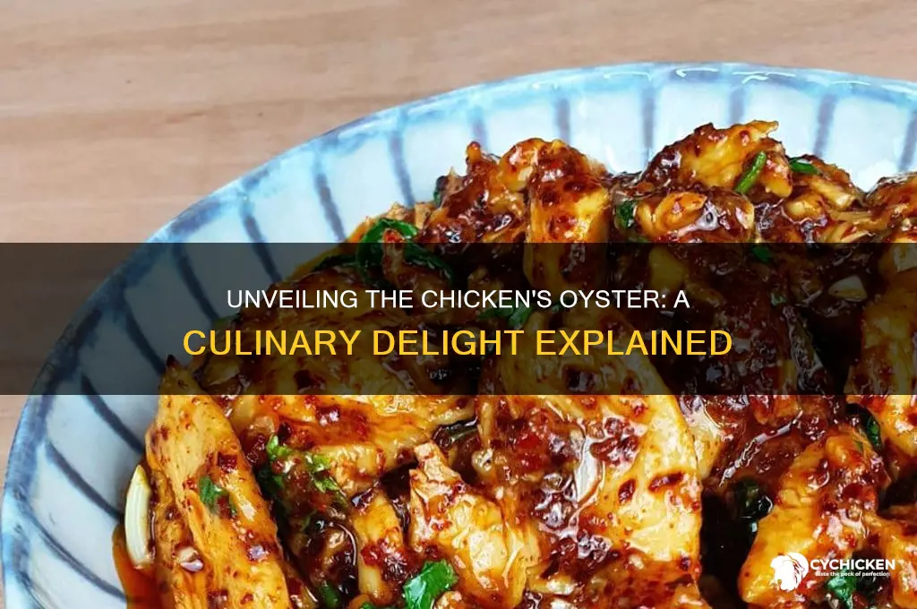 what is the oyster of the chicken