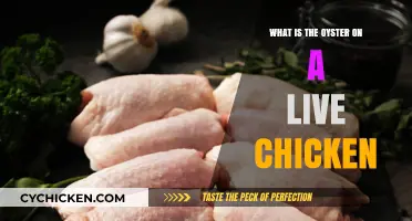 Understanding the Oyster on a Live Chicken: Facts and Insights