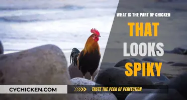 The Spiky Truth: What's That Part of a Chicken?