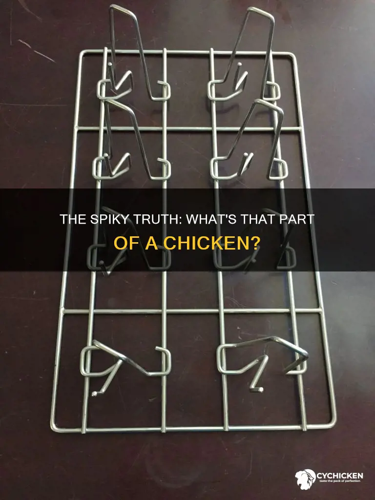 what is the part of chicken that looks spiky