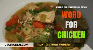 Discovering the Pennsylvania Dutch Word for Chicken: A Linguistic Journey