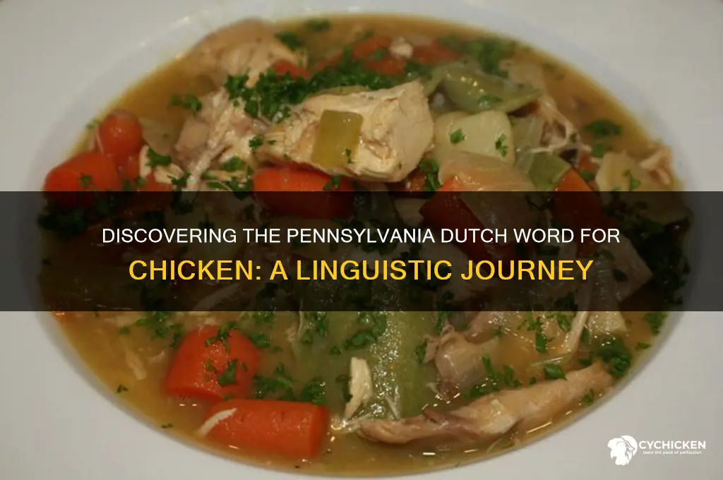 what is the pennsylvania dutch word for chicken