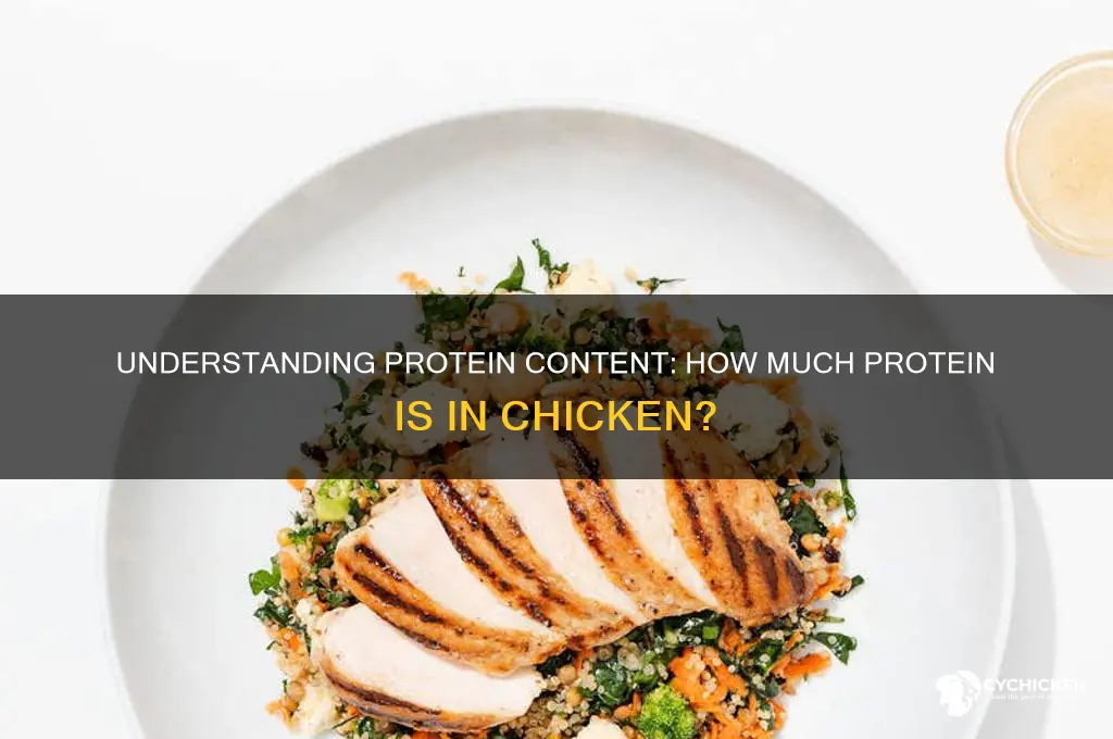 what is the percentage of protein in chicken