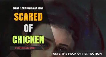 The Fear of Chickens: Understanding Alektorophobia