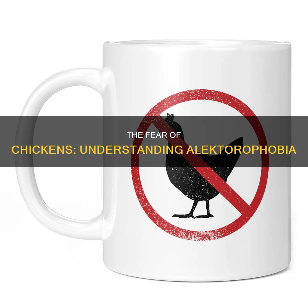 what is the phobia of being scared of chicken