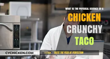 Crunchy Chicken Taco: Physical Science Behind the Taste