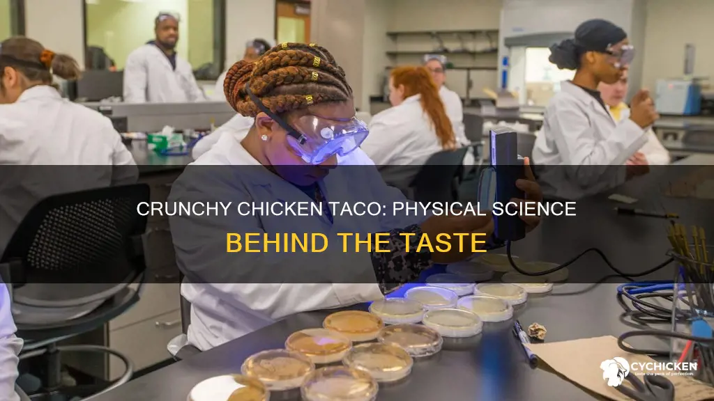 what is the physical science of a chicken crunchy taco