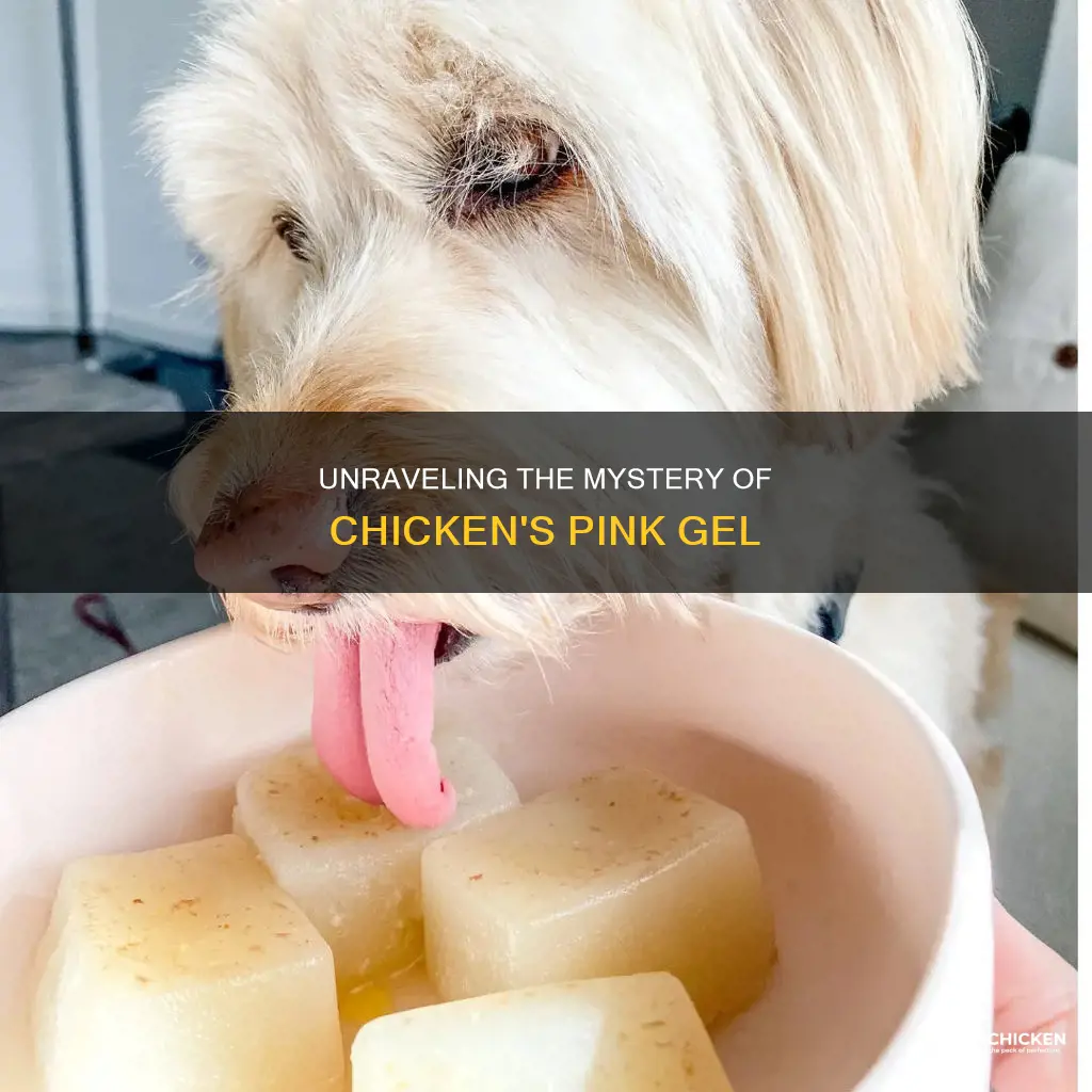 what is the pink gel that forms on chicken