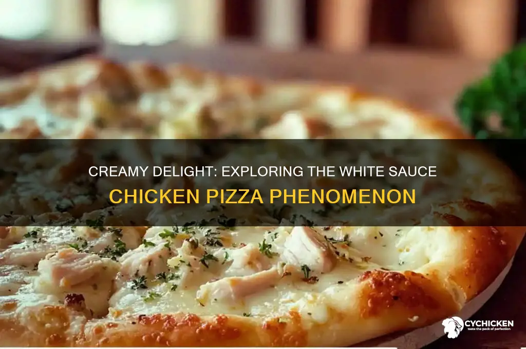 what is the pizza with chicken and a white sauce