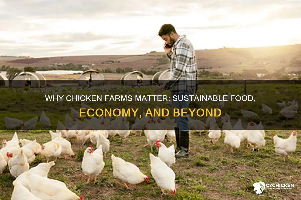 what is the point of a chicken farm