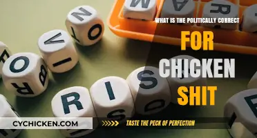 Navigating Polite Language: Alternatives to the Term 'Chicken Shit