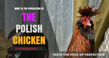 Understanding the Population of Polish Chickens: Facts and Figures