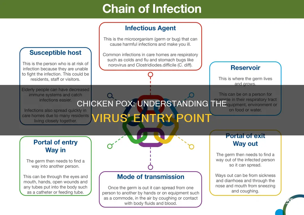 what is the portal of entry for chicken poz