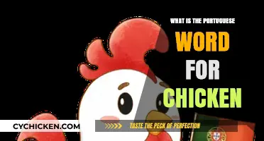 Discovering the Portuguese Word for Chicken: A Quick Language Lesson