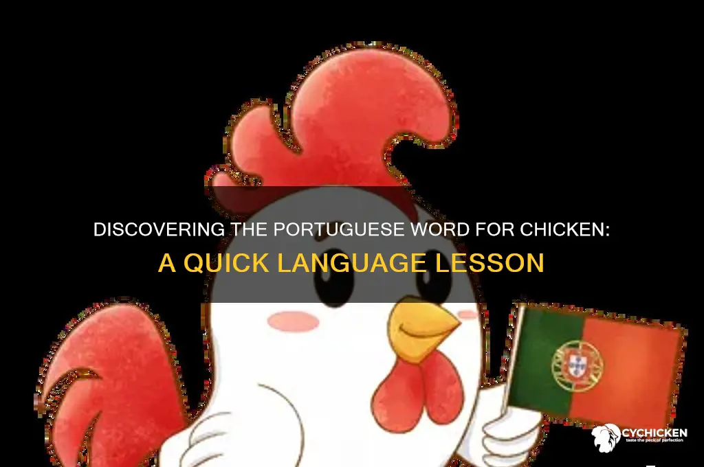 what is the portuguese word for chicken