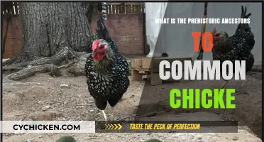 Unveiling the Ancient Roots of Today's Common Chickens