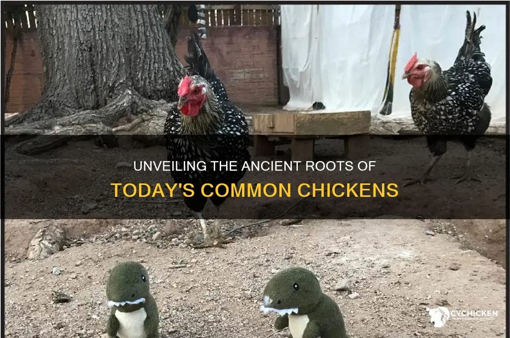 what is the prehistoric ancestors to common chicke