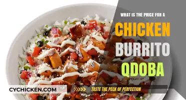 Chicken Burrito Price at Qdoba: How Much?