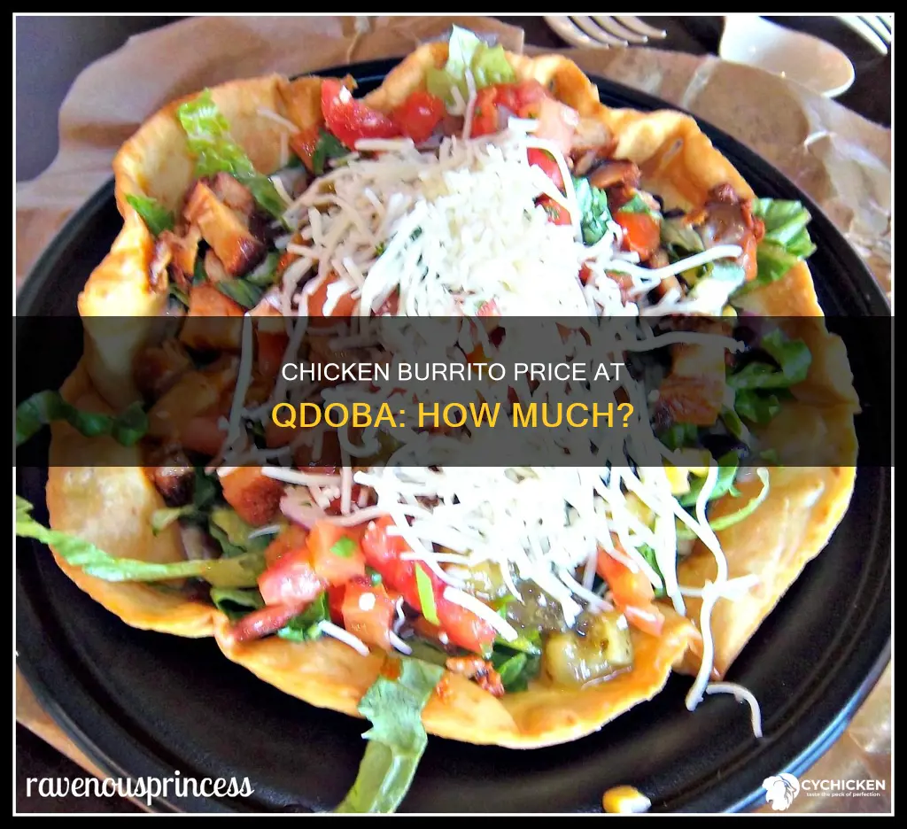 what is the price for a chicken burrito qdoba