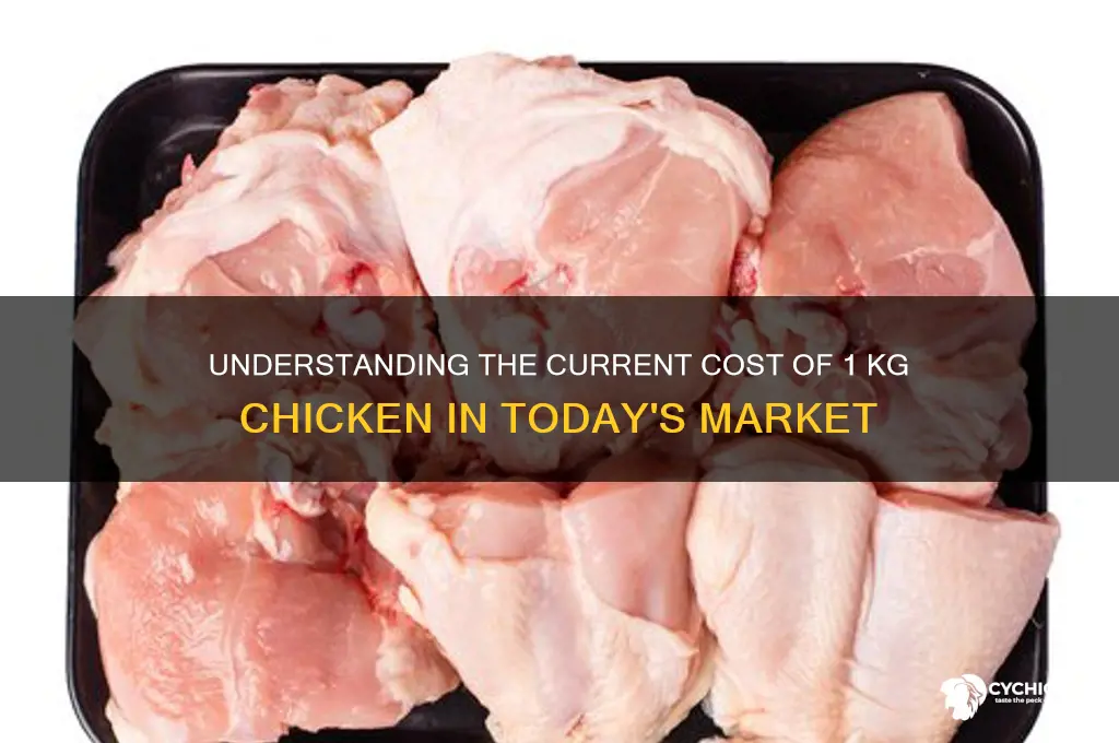what is the price of 1 kg chicken