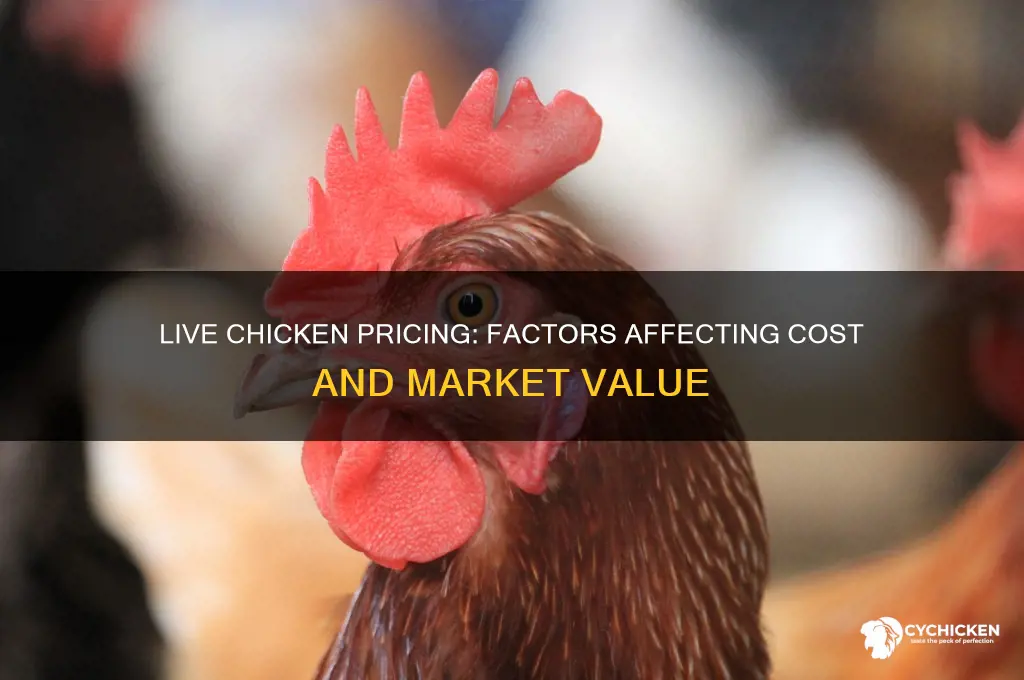 what is the price of a live chicken