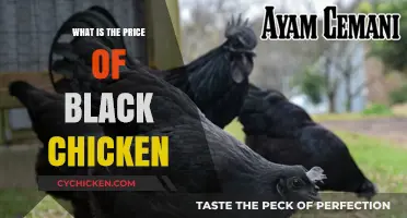 Understanding the Cost of Black Chicken: A Comprehensive Price Guide