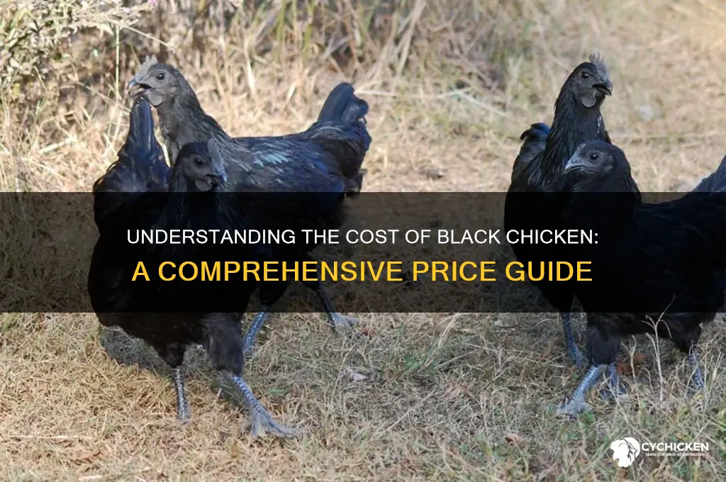 what is the price of black chicken