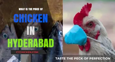Hyderabad Chicken Prices: Current Rates and Market Trends Explained