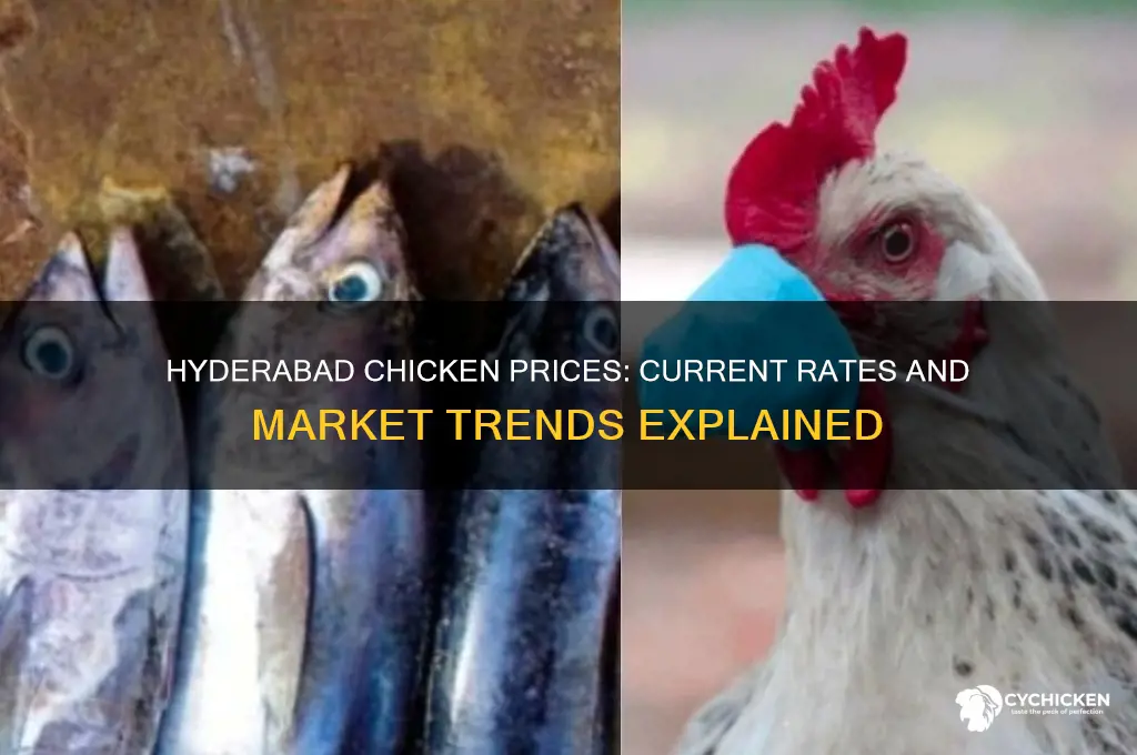 what is the price of chicken in hyderabad