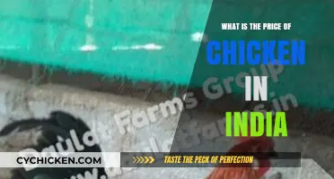 Understanding Chicken Prices in India: Costs, Trends, and Factors