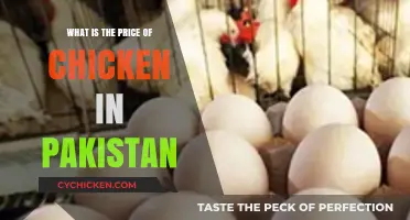Current Chicken Prices in Pakistan: A Comprehensive Market Overview