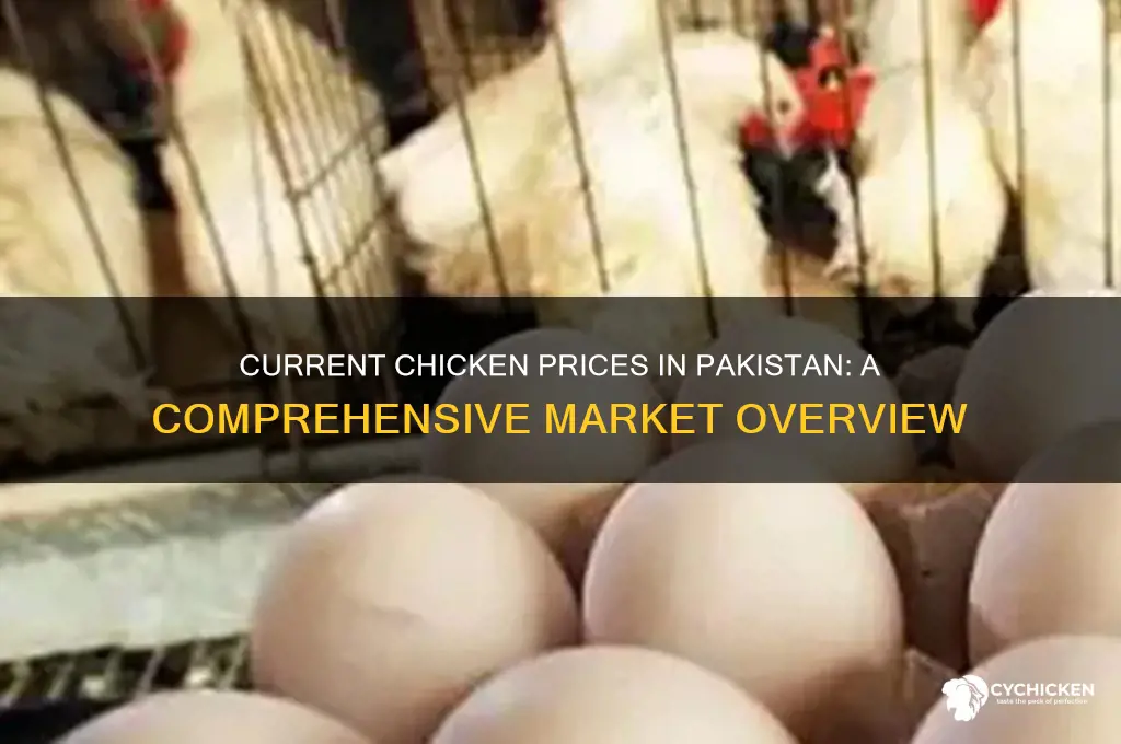 what is the price of chicken in pakistan